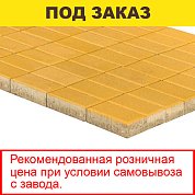 Плитка тротуарная BRAER, "Прямоугольник",&nbsp;&nbsp;200*100*40мм, желтый (19,44 кв.м) 972шт.