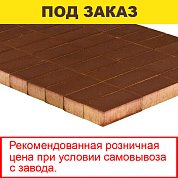 Плитка тротуарная BRAER, "Прямоугольник",&nbsp;&nbsp;200*100*40мм, коричневый (19,44 кв.м) 972шт.