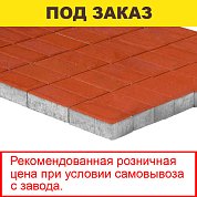 Плитка тротуарная BRAER, "Прямоугольник",&nbsp;&nbsp;200*100*60мм, красный (12,96 кв.м) 648шт.
