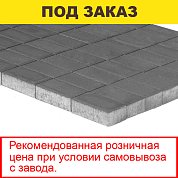 Плитка тротуарная BRAER, "Прямоугольник",&nbsp;&nbsp;200*100*60мм, серый (12,96 кв.м) 648шт.