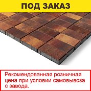 Плитка тротуарная BRAER, "Прямоугольник",&nbsp;&nbsp;200*100*40мм, Color mix Мальва&nbsp;&nbsp;(19,44 кв.м) 972шт.