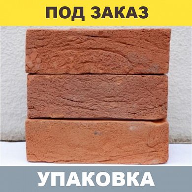 Кирпич RECKE HB WDF 4-00-00-0-00 (красный) М-125